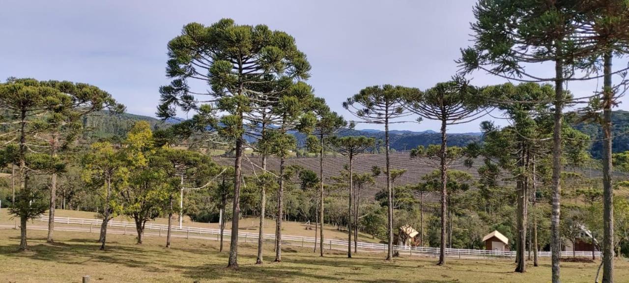 Chale Bienz - Hospedagem Rural Urubici Luaran gambar