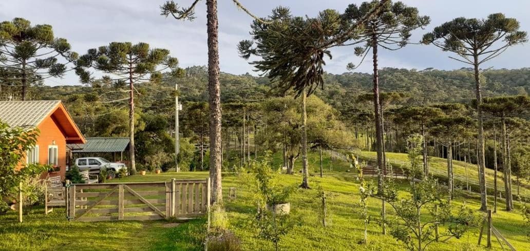 Chale Bienz - Hospedagem Rural Urubici Luaran gambar